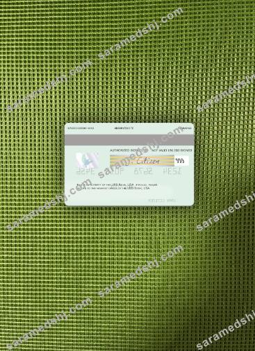 USA UBS Bank visa card photolook back